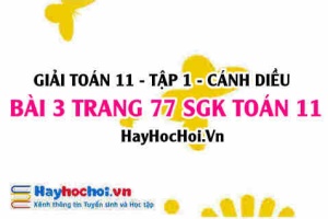 Giải bài 3 trang 77 Toán 11 tập 1 SGK Cánh Diều